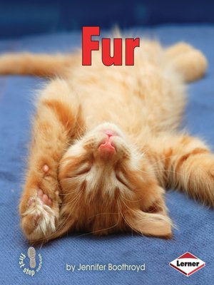cover image of Fur